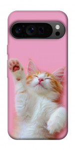Чехол Сat chill для Google Pixel 9 Pro