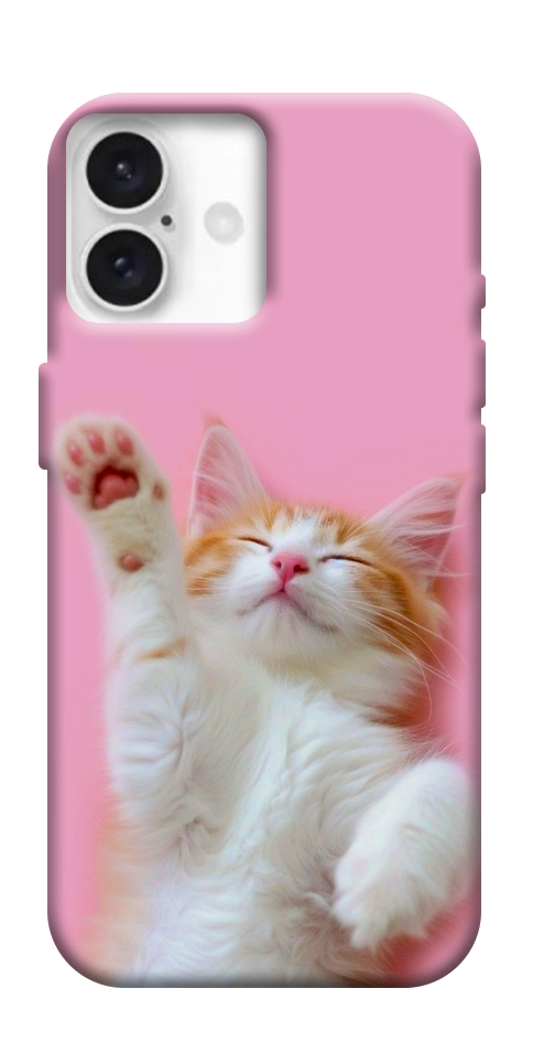 Чехол Сat chill для iPhone 16