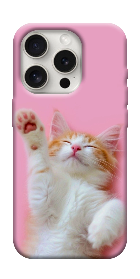 Чехол Сat chill для iPhone 16 Pro