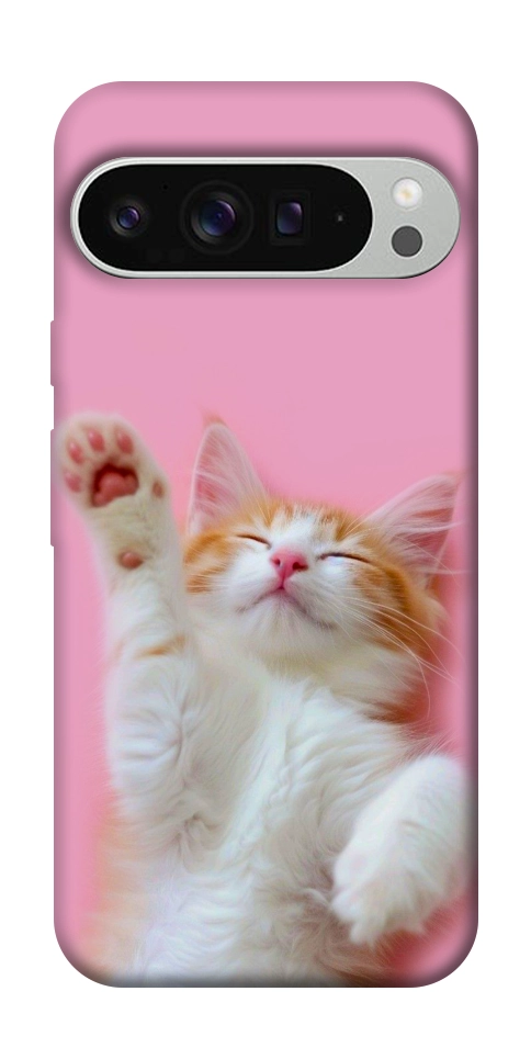Чехол Сat chill для Google Pixel 9 Pro XL