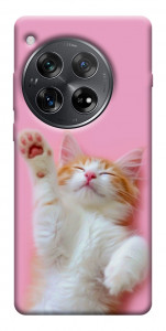 Чехол Сat chill для OnePlus 12