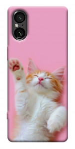 Чехол Сat chill для Sony Xperia 5 V