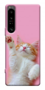 Чехол Сat chill для Sony Xperia 1 IV