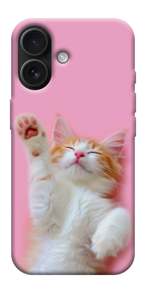 Чехол Сat chill для iPhone 17