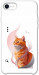 Чехол Ginger cat для iPhone SE (2020)