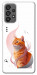 Чехол Ginger cat для Galaxy A73 5G