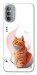 Чехол Ginger cat для Motorola Moto G31
