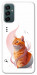 Чохол Ginger cat для Galaxy M14 5G