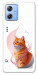 Чехол Ginger cat для Motorola Moto G84