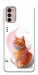 Чохол Ginger cat для Motorola Moto G42