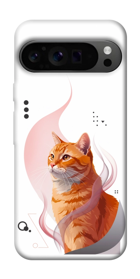 Чехол Ginger cat для Google Pixel 9 Pro