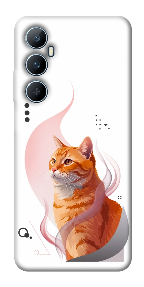 Чехол Ginger cat для Realme C65 4G