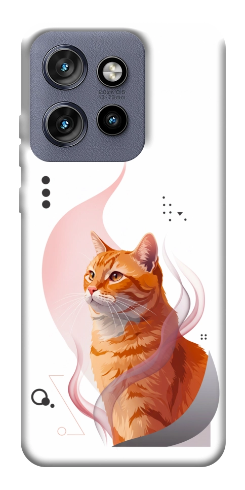 Чехол Ginger cat для Motorola Edge 50 Neo