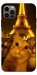 Чохол Paris selfie для iPhone 12 Pro