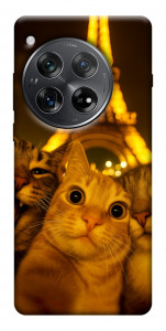 Чехол Paris selfie для OnePlus 12