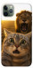 Чехол Shocked cat and lion для iPhone 11 Pro Max