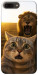 Чехол Shocked cat and lion для iPhone 7 Plus