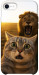 Чехол Shocked cat and lion для iPhone SE (2020)