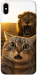Чехол Shocked cat and lion для iPhone XS Max