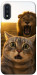 Чохол Shocked cat and lion для Galaxy A01