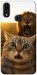 Чохол Shocked cat and lion для Galaxy A10s (2019)