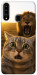 Чехол Shocked cat and lion для Galaxy A20s (2019)