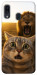Чехол Shocked cat and lion для Galaxy A30 (2019)