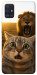 Чехол Shocked cat and lion для Galaxy A51 (2020)