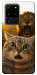 Чехол Shocked cat and lion для Galaxy S20 Ultra (2020)