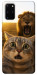 Чехол Shocked cat and lion для Galaxy S20 Plus (2020)