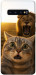 Чехол Shocked cat and lion для Galaxy S10 Plus (2019)