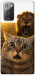 Чохол Shocked cat and lion для Galaxy Note 20