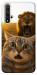 Чехол Shocked cat and lion для Huawei Honor 20