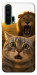 Чехол Shocked cat and lion для Huawei Honor 20 Pro