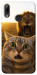 Чехол Shocked cat and lion для Huawei P Smart (2019)