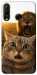 Чохол Shocked cat and lion для Huawei P30 Lite