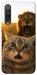 Чехол Shocked cat and lion для Xiaomi Mi 9 SE