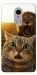 Чохол Shocked cat and lion для Xiaomi Redmi Note 4X
