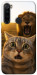 Чехол Shocked cat and lion для Xiaomi Redmi Note 8