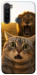 Чохол Shocked cat and lion для Xiaomi Redmi Note 8T