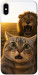 Чехол Shocked cat and lion для iPhone XS