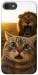 Чехол Shocked cat and lion для iPhone 8
