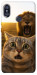 Чохол Shocked cat and lion для Xiaomi Redmi Note 5 (Dual Camera)