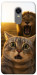 Чехол Shocked cat and lion для Xiaomi Redmi Note 5 (Single Camera)