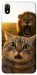 Чехол Shocked cat and lion для Xiaomi Redmi 7A