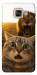 Чехол Shocked cat and lion для Galaxy A5 (2017)