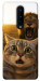 Чехол Shocked cat and lion для OnePlus 8