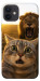 Чехол Shocked cat and lion для iPhone 12