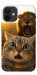 Чехол Shocked cat and lion для iPhone 12 mini