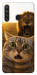 Чохол Shocked cat and lion для Galaxy A21